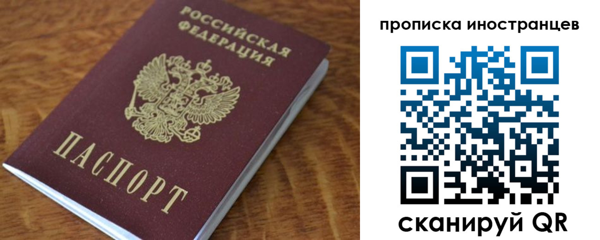купить прописку в Курской области