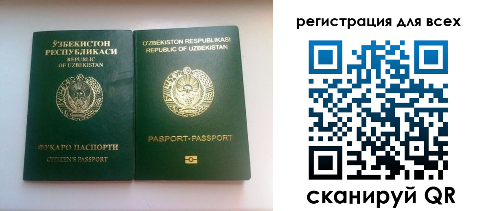 форма 3 в Курской области